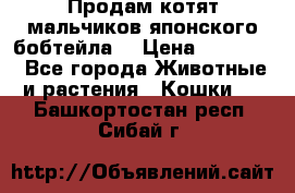 Продам котят мальчиков японского бобтейла. › Цена ­ 30 000 - Все города Животные и растения » Кошки   . Башкортостан респ.,Сибай г.